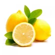 Kép 4/4 - Banquet Limon citromtartó üveg, 12,5 cm (BQ-04308002)